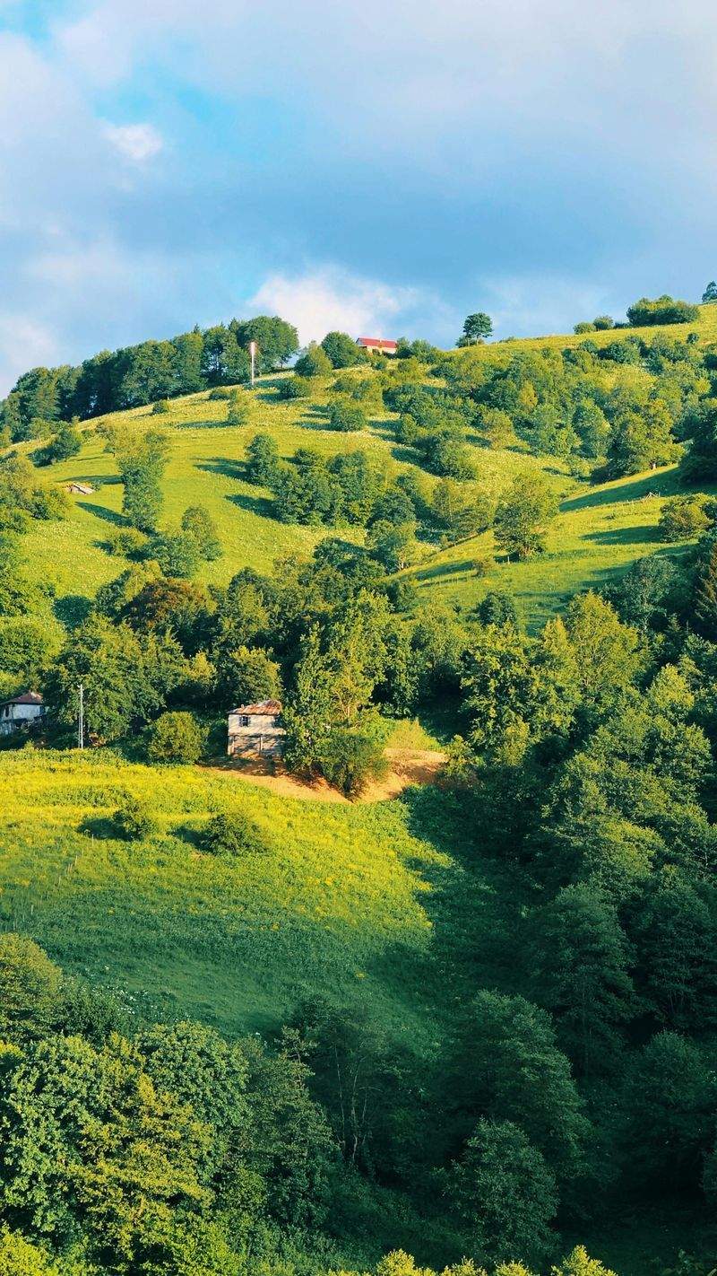 Ökologischer Landbau: Ein Wegweiser für die Zukunft